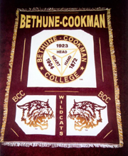 Bethune_Cookman_Afghan_small2.jpg