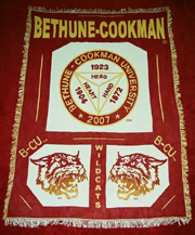 Bethune_Cookman_U_Afghan_small2.jpg