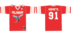 Delaware_State_Jersey_small.gif