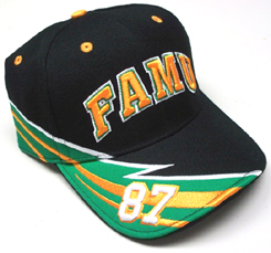 FAMU_F1_Cap_small.jpg