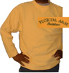 FAMU_Pullover_small.jpg