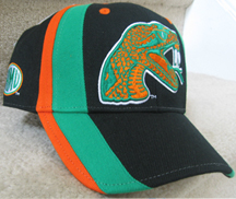 FAMU_Razor_Black_Cap_small.jpg