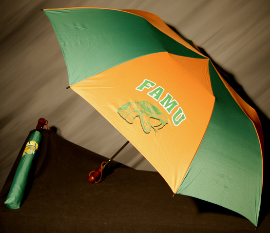 FAMU_Umbrella_QJFL.jpg