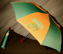 FAMU_Umbrella_QJFL_small.jpg