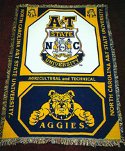 NCAT_Afghan_F3_small2.jpg