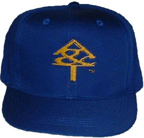 NCAT_Logo_Child_Cap.jpg