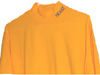 NCAT_Mock_Turtleneck_small.jpg