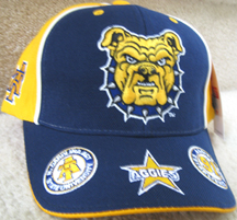 NCAT_Triplex_Cap_small.jpg