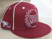 NCCU_Polo_Cap_small.jpg