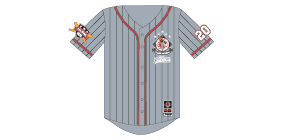 NLBM_Commemorative_Jersey_Gry_small.gif