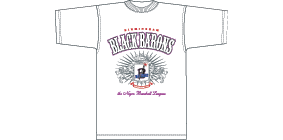 Negro_Baseball_Birmingham_Black_Barons_Tee_NLLTCBB_WHT_small.gif