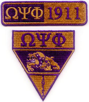 Omega_Military_Patches_small.jpg