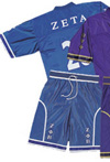 Zeta_Mesh_Apparel_small.jpg