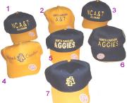 NCATcaps.JPG