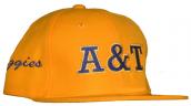 NCAT_Fitted_Gold_Cap.jpg