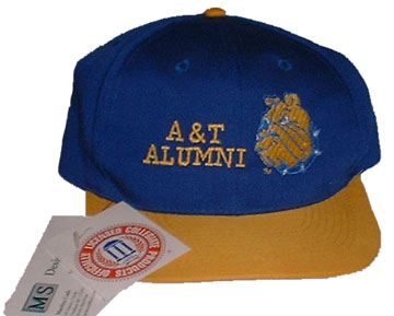NCAT Logo Cap_LRG
