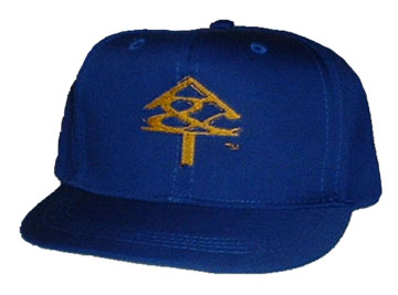 NCAT Aggie Cap_LRG