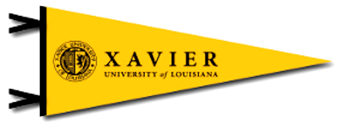 Xavier University of Louisiana Gold Rush Gameday Couture Women's Guess  Who's Back Long Sleeve T-Shirt - Black