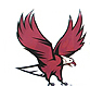nccu_new_flying_eagle_logo